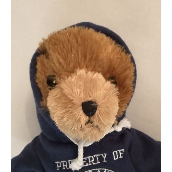 Dave and busters Plush 14" Bear in Navy Hoodie Stuffed Animal Property of 2009 - Picture 2 of 5